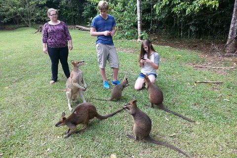 Small Group Blue Mountains Day Tour From Sydney - Attractions Perth 2