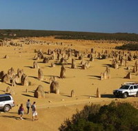1-Day Pinnacles and Yanchep Tour from Perth including Fish and Chips Lunch - Attractions Perth