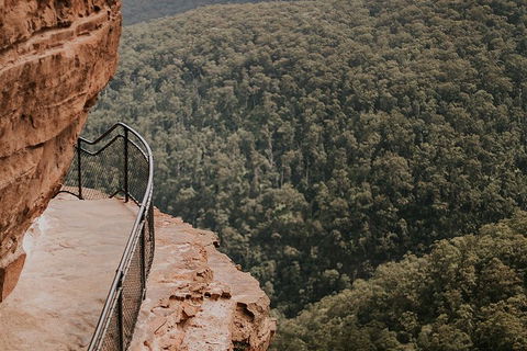 Private Blue Mountains And Wildlife Park Tour From Sydney With Barbecue Lunch - Attractions Perth 5