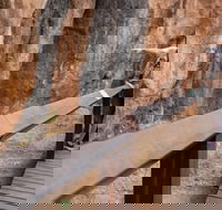 Chillagoe Caves and Outback Day Trip from Cairns - Attractions Perth
