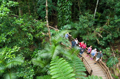 2 Day Daintree Rainforest, Cape Tribulation And Outback Chillagoe Tour - Attractions Perth 3