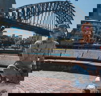 The Rocks  Darling Harbour With A Local Private  Personalized - Attractions Perth