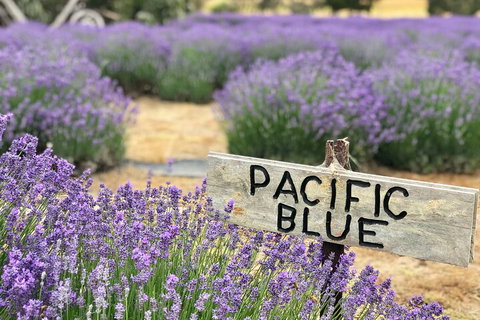 Kangaroo Island Half Day Food And Wine Trail Tour - Attractions Perth 5