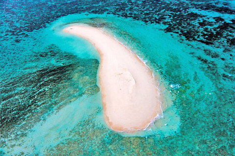 Private Coral Cay Bubbles Tour - Attractions Perth 3