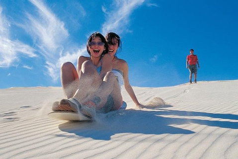 Pinnacles Desert, Koalas And Sandboarding 4WD Day Tour From Perth - Attractions Perth 3