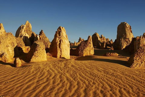 Full Day Pinnacle Desert Explorer From Perth Including Hillarys And Lancelin Sandboarding - Attractions Perth 3