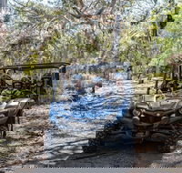 Small-Group Buggy Tour at Little Sahara with Guide - Attractions Perth