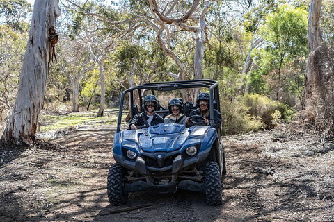 Small-Group Buggy Tour At Little Sahara With Guide - Attractions Perth 0