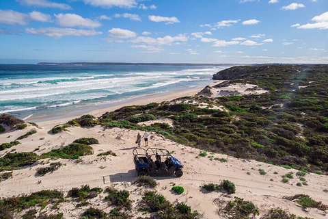 Small-Group Buggy Tour At Little Sahara With Guide - Attractions Perth 1