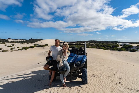 Small-Group Buggy Tour At Little Sahara With Guide - Attractions Perth 2
