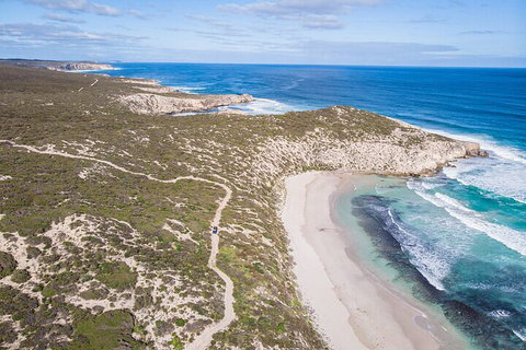 Small-Group Buggy Tour At Little Sahara With Guide - Attractions Perth 4