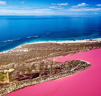 Pink Lake Small-Group Buggy Tour - Attractions Perth