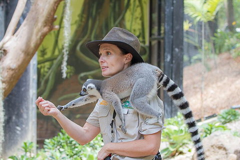 Currumbin Wildlife Sanctuary General Entry Ticket - Attractions Perth 1