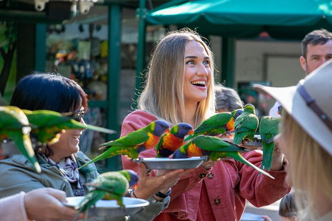 Currumbin Wildlife Sanctuary General Entry Ticket - Attractions Perth 3