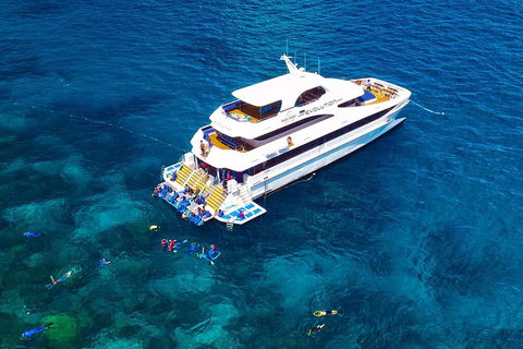 Great Barrier Reef Snorkeling And Diving Cruise From Cairns - Attractions Perth 5