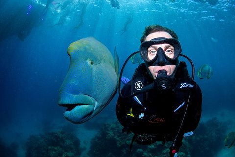 Full Day Reef Cruise Including 10 Minute Heli Scenic Flight: Get High Package - Attractions Perth 1