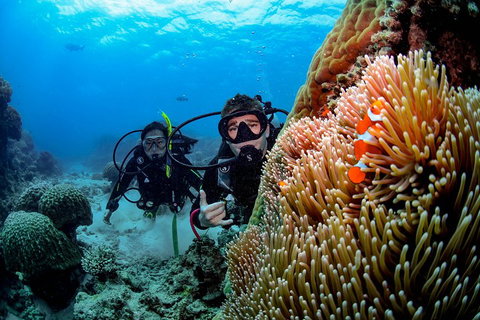 Full Day Reef Cruise Including 10 Minute Heli Scenic Flight: Get High Package - Attractions Perth 5