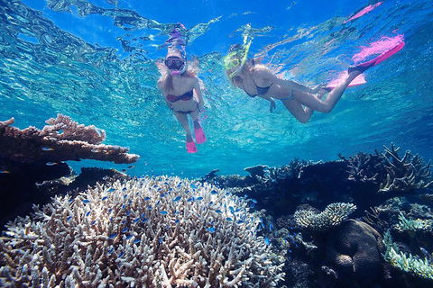 Great Barrier Reef Scenic Helicopter Tour And Cruise From Cairns - Attractions Perth 3
