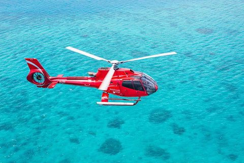 Cruise To Moore Reef Pontoon And Return Helicopter Flight From Cairns - Attractions Perth 1