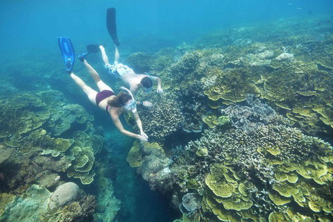 Cruise To Moore Reef Pontoon And Return Helicopter Flight From Cairns - Attractions Perth 3