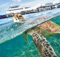 Scenic Helicopter Flight to Moore Reef and Return Snorkeling Cruise from Cairns - Attractions Perth