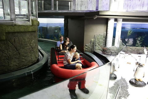 Sydney Attractions Pass: SEA LIFE Aquarium, Sydney Tower Eye, WILD LIFE Zoo And Madame Tussauds - Attractions Perth 0