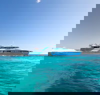 Fremantle to Rottnest Island Roundtrip Ferry Ticket - Attractions Perth
