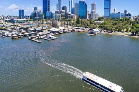 Summer Lunch Cruise - Attractions Perth 2