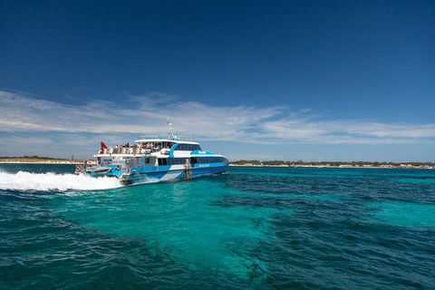 Perth To Rottnest Island Roundtrip Ferry Ticket - Attractions Perth 4