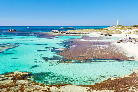 Rottnest Island Bike, Snorkel & Ferry Package From Perth - Attractions Perth 5