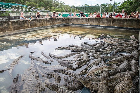 Hartley's Crocodile Adventures Day Trip From Cairns - Attractions Perth 0