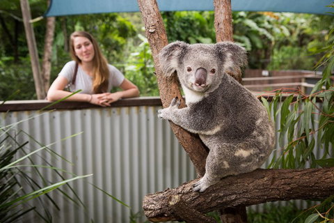 Hartley's Crocodile Adventures Day Trip From Cairns - Attractions Perth 5
