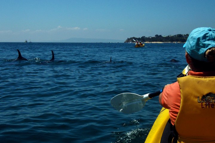  Attractions Perth