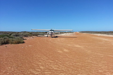 Abrolhos Islands Scenic Flight & Snorkel Adventure From Perth - Attractions Perth 3