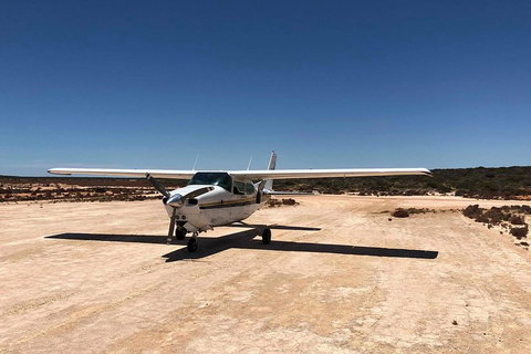 Kalbarri Gorges & West Coast - Ground & Air Tour - Attractions Perth 4