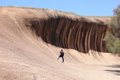 Wave Rock Half Day Air & Ground Tour - Attractions Perth 3