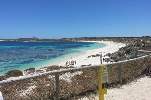 Wave Rock, Pinnacles And Rottnest One Day Aeroplane Tour - Attractions Perth 2