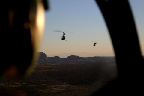 Helicopter Scenic: Lizard Safari - Attractions Perth 1