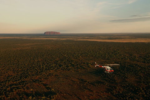 Helicopter Scenic: Lizard Safari - Attractions Perth 4