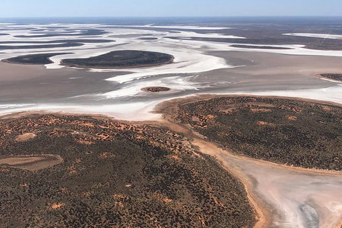 Helicopter Scenic: Lizard Safari - Attractions Perth 5