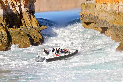 Horizontal Falls Half-Day Tour From Broome - Attractions Perth 1