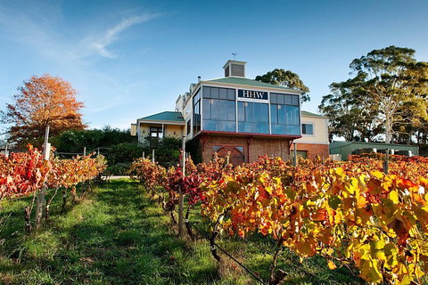 Adelaide Hills Food, Wine, Cheese, & Chocolate - Private Day Tour - Attractions Perth 3