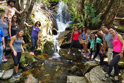 7-Day Super Value Tour Of Tasmania: Explore Tasmania's West And East Coasts - Attractions Perth 2