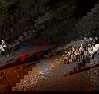 Alice Springs Desert Park Nocturnal Tour - Attractions Perth