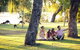Full-Day Pinnacles Desert And Yanchep National Park Tour From Perth - thumb 3