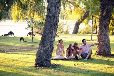 Full-Day Pinnacles Desert And Yanchep National Park Tour From Perth - Attractions Perth 3
