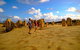 Full-Day Pinnacles Desert And Yanchep National Park Tour From Perth - thumb 4