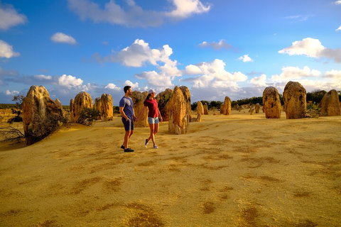 Full-Day Pinnacles Desert And Yanchep National Park Tour From Perth - Attractions Perth 4