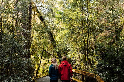 Gordon River Cruise Departing From Strahan - Attractions Perth 2