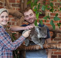 Private Tour Blue Mountains Day Trip from Sydney - Attractions Perth